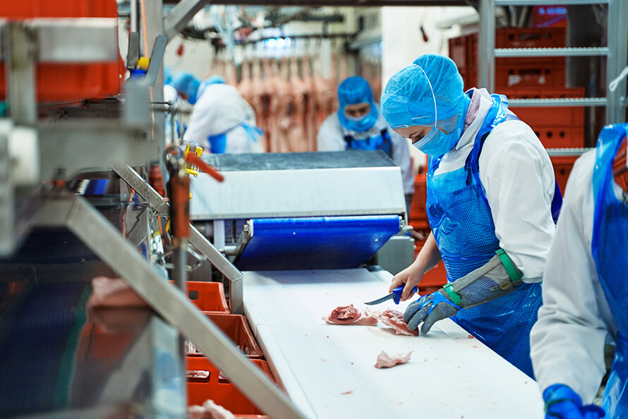 Zerlegung - Vital-Fleisch GmbH, Speyer