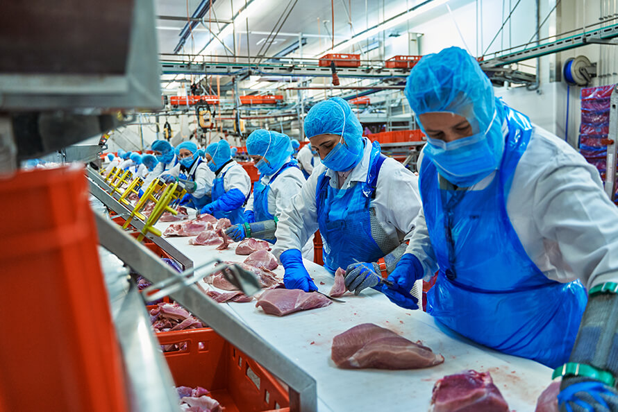 Zerlegung - Vital-Fleisch GmbH, Speyer